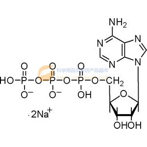 腺苷-5′-三磷酸二钠盐(ATP)