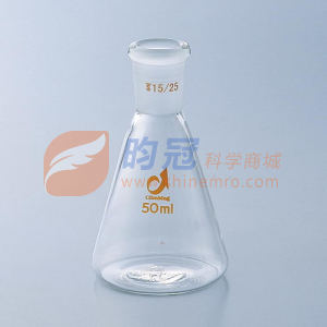 磨口三角烧瓶 ，100ml